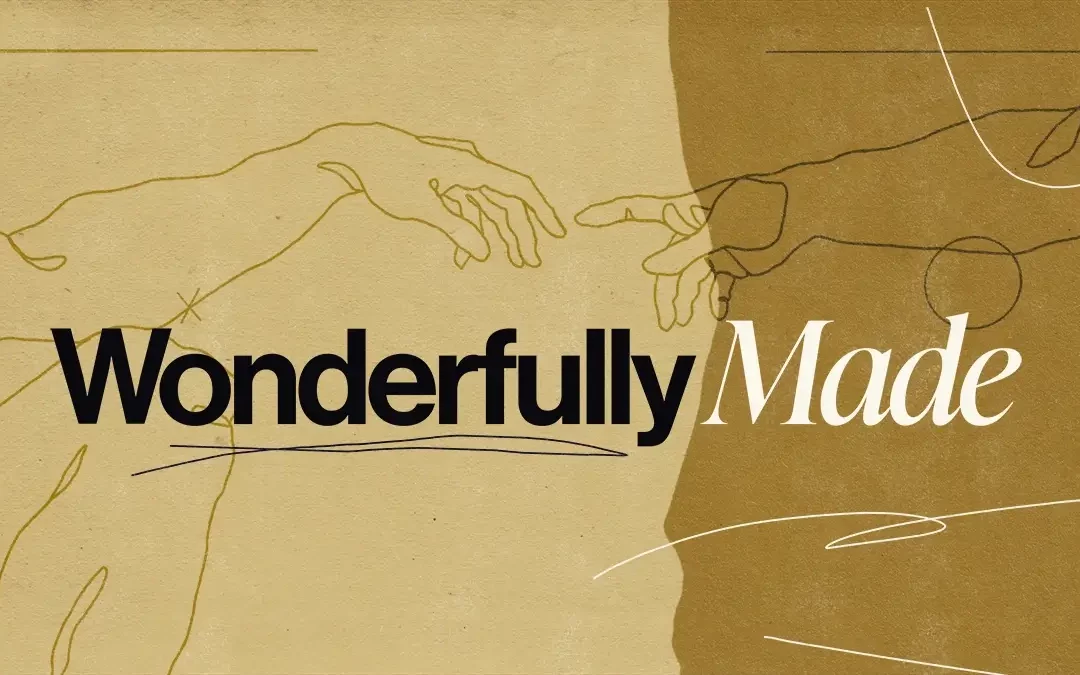 Wonderfully Made
