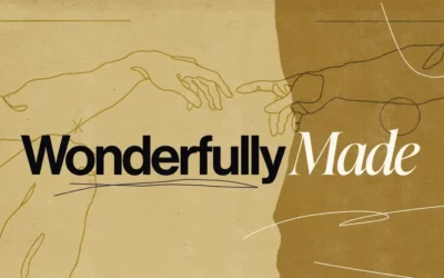 Wonderfully Made