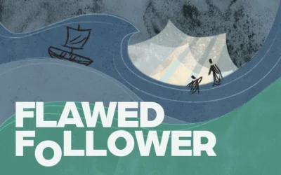Flawed Follower